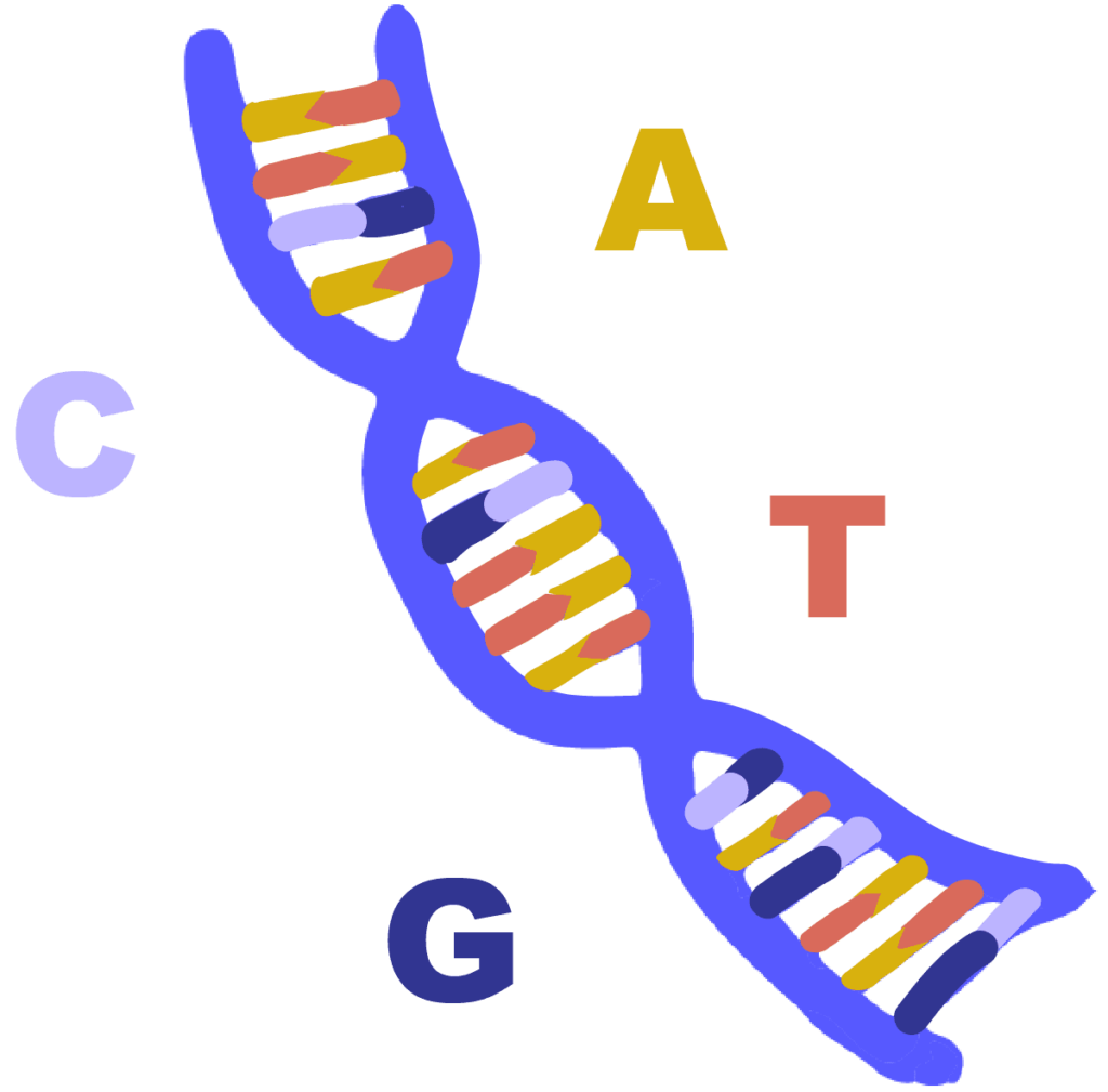 DNA