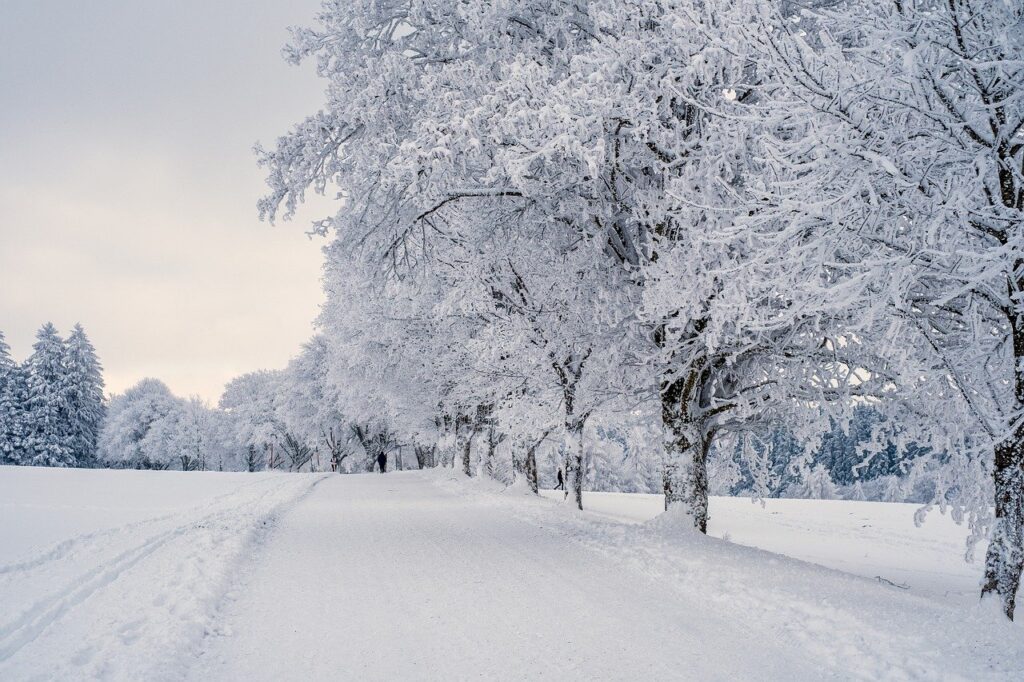 Snow scene